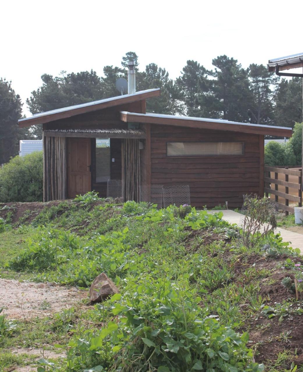 Cabanas Grulla Pichilemu Ngoại thất bức ảnh