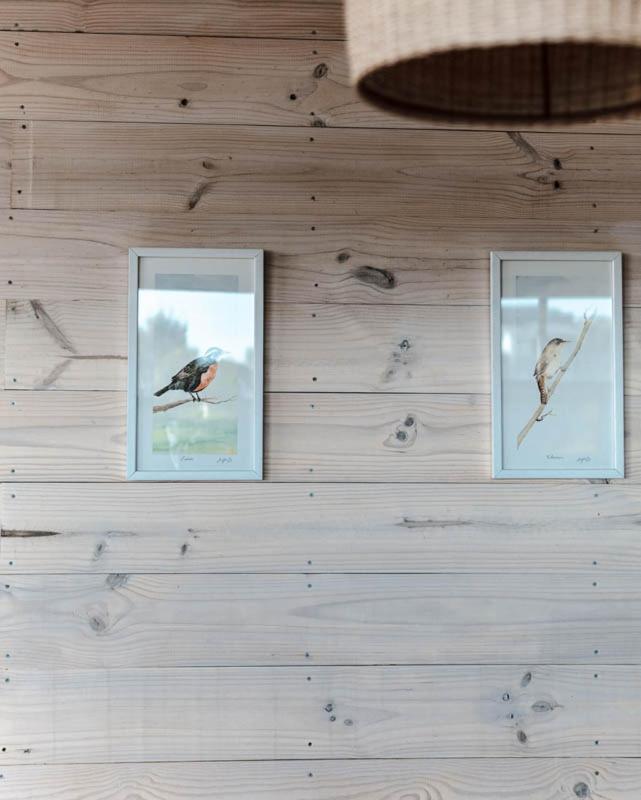Cabanas Grulla Pichilemu Ngoại thất bức ảnh