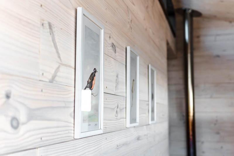 Cabanas Grulla Pichilemu Ngoại thất bức ảnh