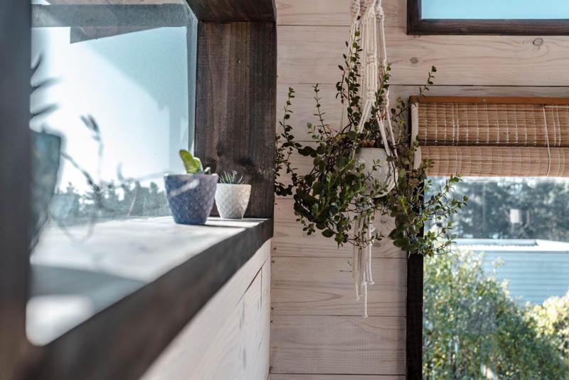 Cabanas Grulla Pichilemu Ngoại thất bức ảnh